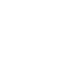 icon medal white
